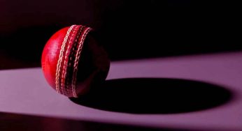 Fastest Century in IPL | Who Scored Fastest 100 in IPL