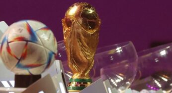 Excellent Market Options Available on Dogecoin Betting Sites for the Upcoming 2022 FIFA World Cup