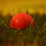 cricket betting