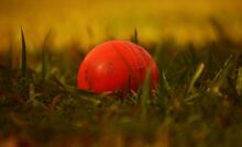 cricket betting