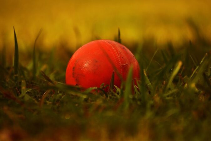 cricket betting