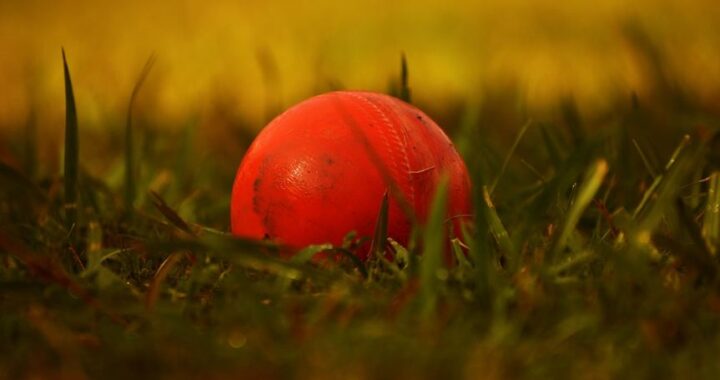 cricket betting